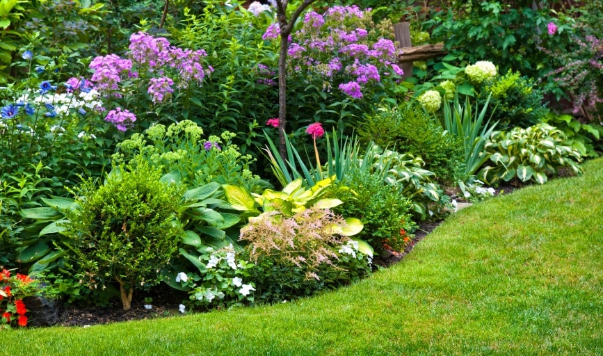 Landscaping